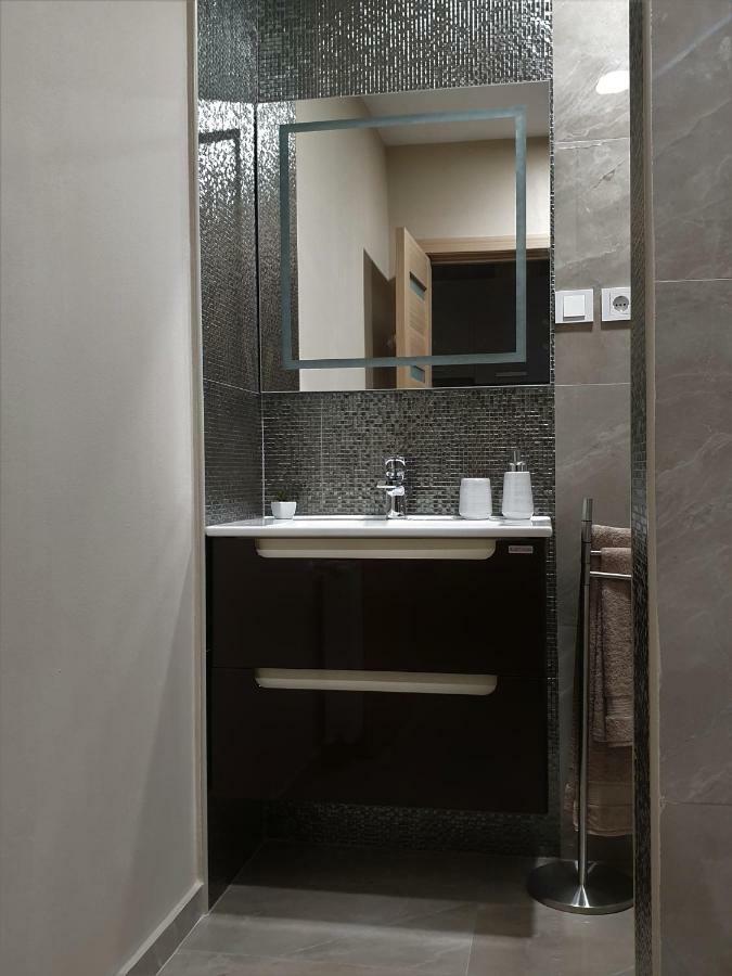 Irina Apartments ทิมิชัวรา ภายนอก รูปภาพ
