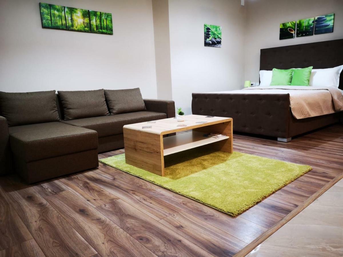 Irina Apartments ทิมิชัวรา ภายนอก รูปภาพ