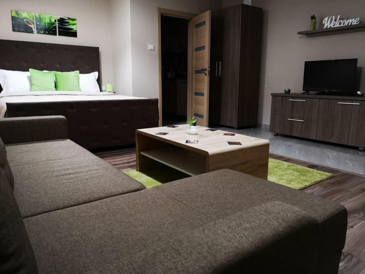 Irina Apartments ทิมิชัวรา ภายนอก รูปภาพ